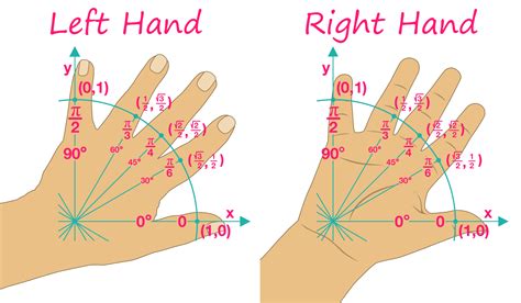 The Unit Circle Hand Trick Handout Geometry Lesson Plans, Geometry Lessons, Math Lessons, Math ...