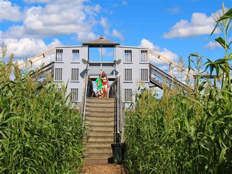 Mega Maze - Davis Mega Farm Festival has the greatest corn maze