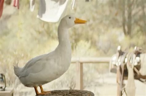 Who’s Been The Voice Of The Aflac Duck Since Gilbert Gottfried Was Fired? It Was An Unlikely ...