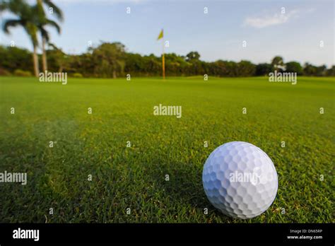 Golf ball rolling on putting green Stock Photo - Alamy