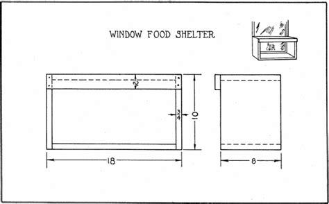 Window Bird Feeder: DIY Plans for a Windowsill Bird Feeder