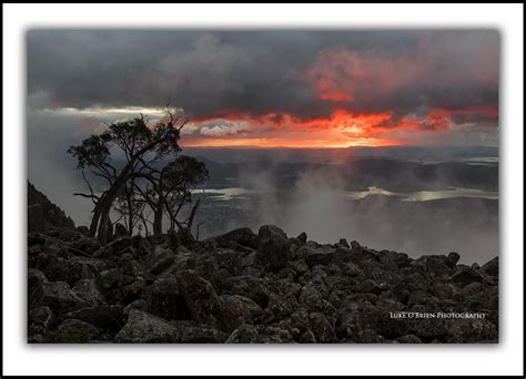 Image result for tasmanian landscape artists | Landscape artist ...