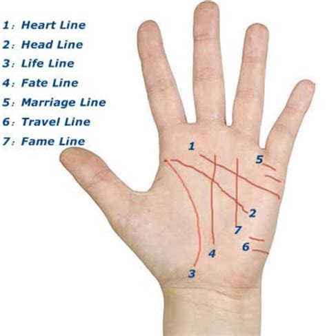 How to Read Palms - a Basic Guide to Palm Reading. - HubPages