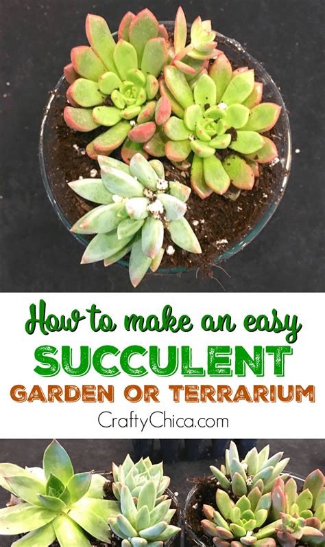 DIY Succulent Terrarium or Planter - The Crafty Chica