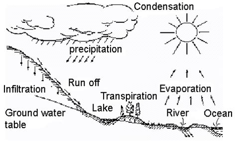 Analyzing why Water is Important