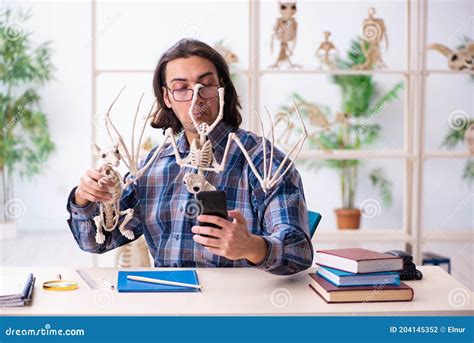 Young Male Teacher Paleontologist in the Classroom Stock Photo - Image of education ...