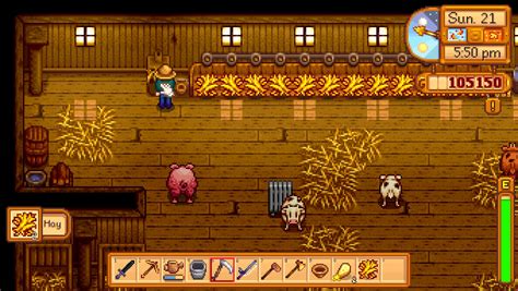 Stardew Valley Coop and Barn - Gamespedition.com