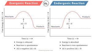 Exergonic Reaction: Definition, Equation, Graph, and Examples