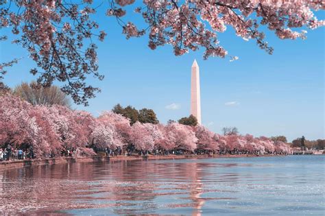 7 fun outdoor activities in Washington, D.C. | Where To Go In