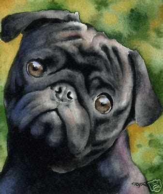 Pug Watercolor at PaintingValley.com | Explore collection of Pug Watercolor