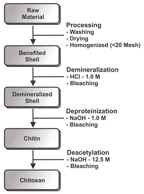 Schematic representation of the production of chitosan from shrimp. | Download Scientific Diagram