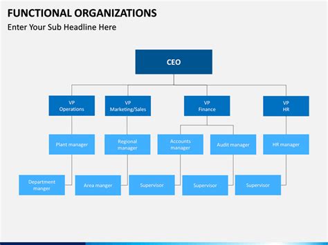 Functional Organization Chart Template