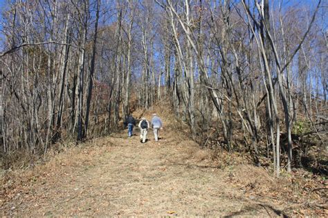 DeHart Botanical Gardens Hike 110912 | In Patrick County Nat… | Flickr