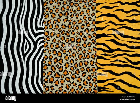 ZOO PATTERNS OF WILDLIFE ANIMALS Stock Photo - Alamy