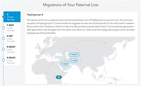 Paternal Haplogroups - Haplogroup Inheritance – 23andMe Customer Care