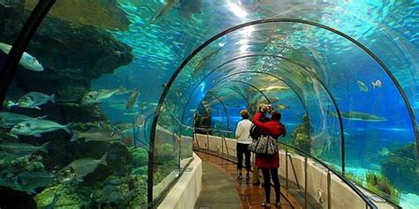 Antalya Aquarium Trip | World's Largest Tunnel Aquarium - 2019