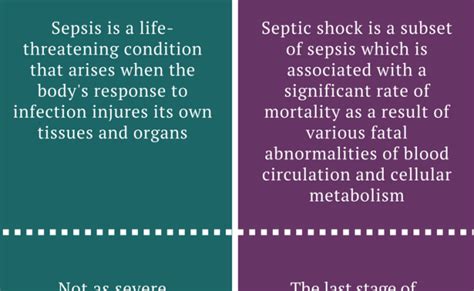 Stages Of Sepsis And Septic Shock – NBKomputer