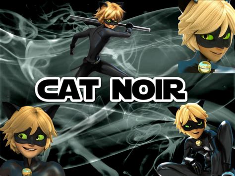 Miraculous Cat Noir wallpaper by NathaliaTMNTlover on DeviantArt