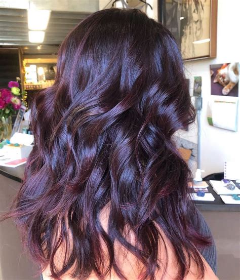 @cemeterystrut used extreme purple to create their custom “warm violet brown” hair color • image ...