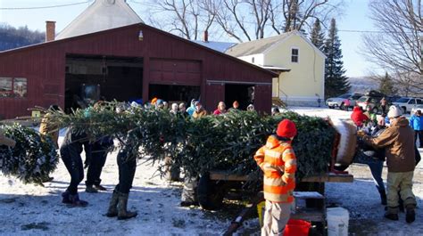 Dana Freeman Travels Vermont Christmas Tree Farms | Dana Freeman Travels