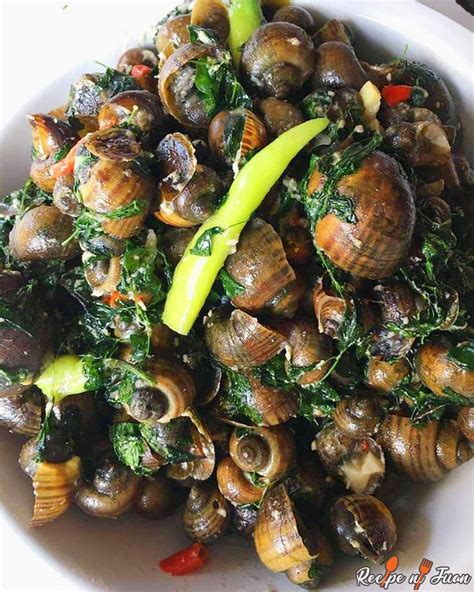 Ginataang Kuhol Recipe (Snails in Coconut Milk) | Recipe | Recipes, Snails recipe, Coconut milk ...