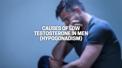 Causes of Low Testosterone in Men (Hypogonadism) - Great Green Wall