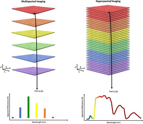 Comparison of multispectral imaging and hyperspectral imaging. Discrete... | Download Scientific ...