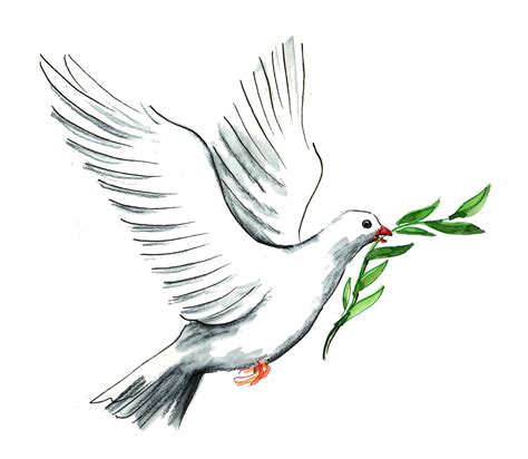 Premium Photo | White dove carrying olive branch. Ink and watercolor ...