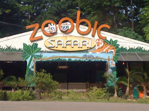 what it's all about...: Zoobic Safari and Ocean Adventure : Review