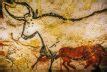 All You Need to Know About Lascaux Cave | DailyArt Magazine