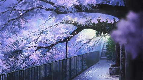 tumblr_oneyatg9dS1twgfw0o1_540.gif (540×304) | Anime scenery, Scenery, Anime cherry blossom