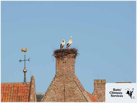 4 Common Causes of Chimney Damage - Batts' Chimney Services