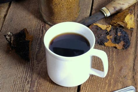 Chaga Mushroom Tea Recipe | Dandk Organizer