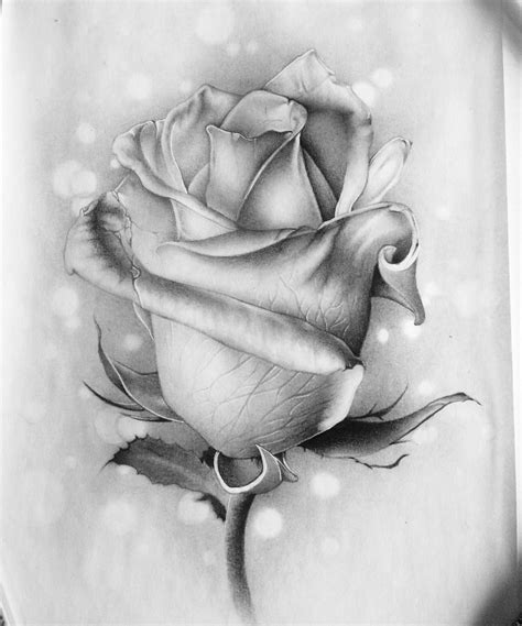 √ Realistic Drawing Of A Flower