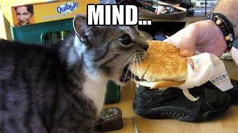 14 National Cheeseburger Day Memes That Will Make Your Mouth Water