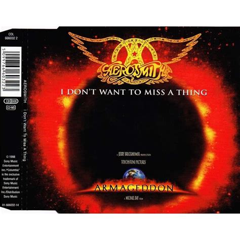 I don't want to miss a thing by Aerosmith, CDS with allaboutvinylplus - Ref:2979655661