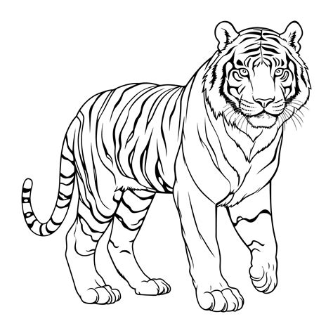 Tiger coloring page for kids 25947061 Vector Art at Vecteezy