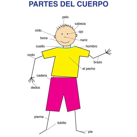 Printable Body Parts In Spanish