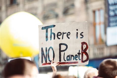 What You Need to Know About Environmental Activism | Ourgoodbrands