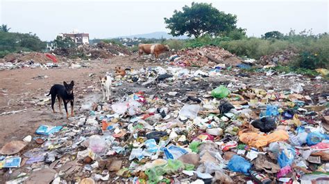 Irresponsible citizens turning Cleanest City into a garbage dumping yard - Star of Mysore