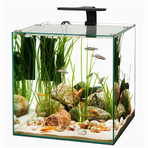 Aqueon Frameless Cube Aquarium, 14 Gallon | Petco | Square Fish Tank,Dimensions, Frameless Cube ...