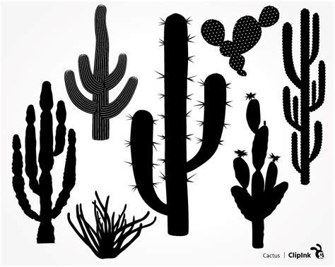 Cactus svg, Succulent svg | svg, png, eps, dxf, pdf | ClipInk