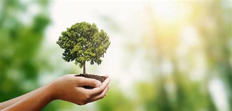 Earth Day Plant Care - Elite Tree Care