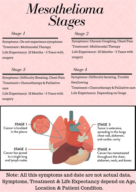 How long to live with mesothelioma and it's Guide and Survival Rates ...