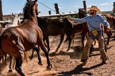 Babbitt Ranch Cowboys Working on Behance