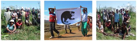 Madagascar Wildlife Conservation | at Lake Alaotra, the center of the island's most important ...