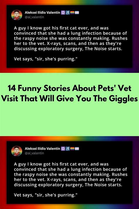 14 funny stories about pets vet visit that will give you the giggles ...