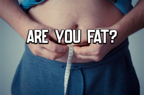 QUIZ: Am I Fat? More Than 40% of Americans Are - Quizondo