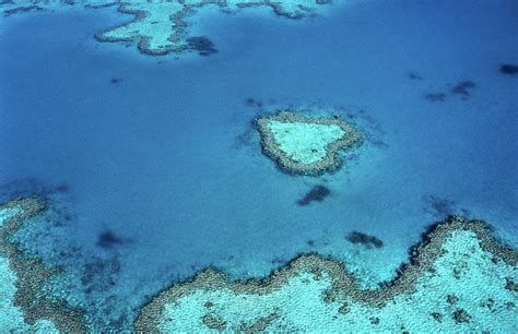 Aerial Of Heart-shaped Reef At Hardy Photograph by Holger Leue - Fine Art America