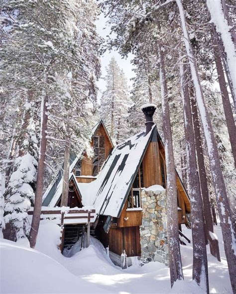 Winter Forest | Hunting cabin, Rustic house, A frame house